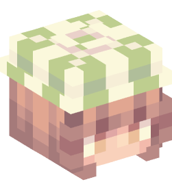 Minecraft head — People