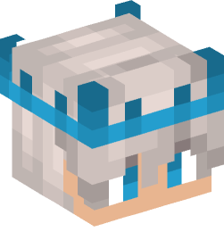 Minecraft head — People