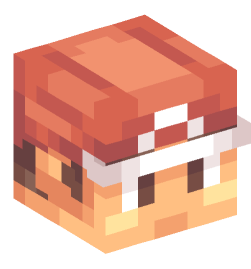 Minecraft head — People