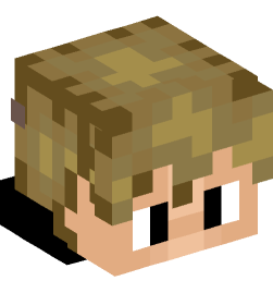 Minecraft head — People