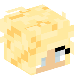 Minecraft head — People