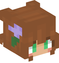 Minecraft head — People