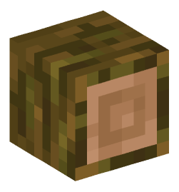 Minecraft head — Blocks