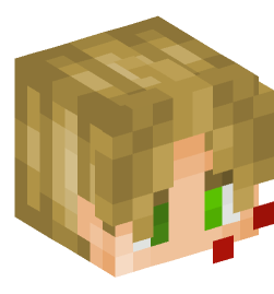 Minecraft head — People