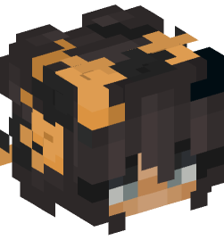 Minecraft head — People