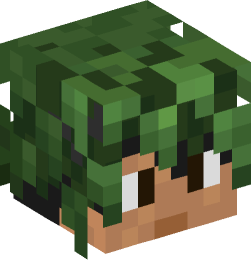 Minecraft head — People