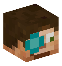 Minecraft head — People