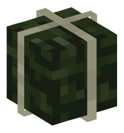 Minecraft head — Blocks