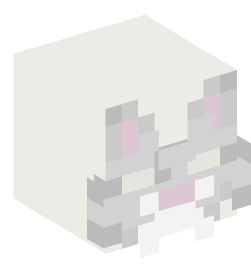 Minecraft head — Decor