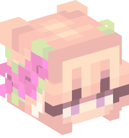 Minecraft head — People