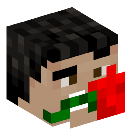 Minecraft head — People