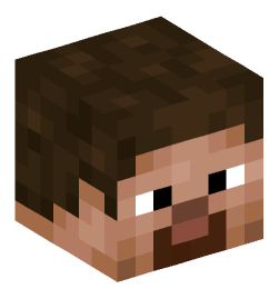 Minecraft head — People