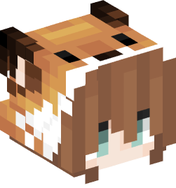 Minecraft head — People