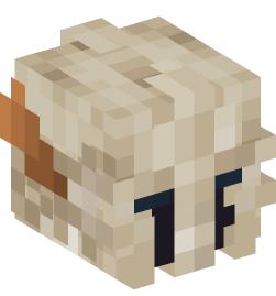 Minecraft head — People