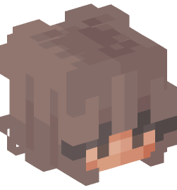 Minecraft head — People