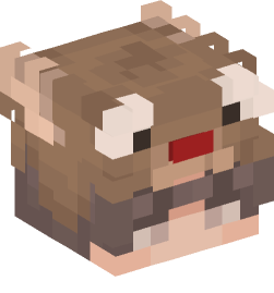 Minecraft head — People