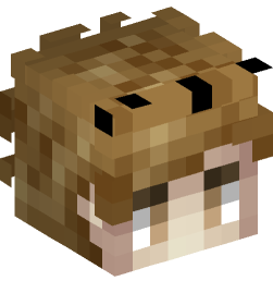 Minecraft head — People