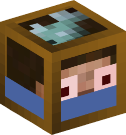 Minecraft head — Decor