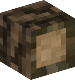 Minecraft head — Blocks