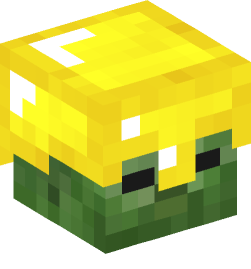 Minecraft head — Creatures