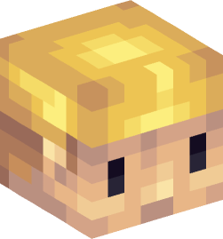 Minecraft head — People