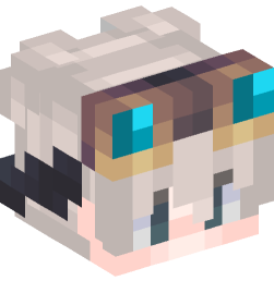 Minecraft head — People