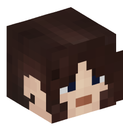 Minecraft head — People