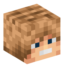 Minecraft head — People