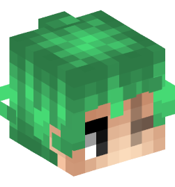 Minecraft head — People