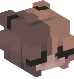 Minecraft head — People