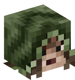 Minecraft head — People