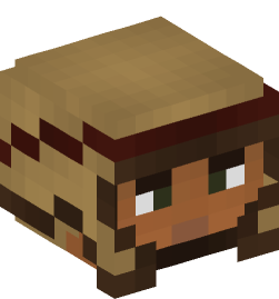 Minecraft head — People