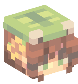 Minecraft head — People