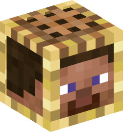 Minecraft head — People