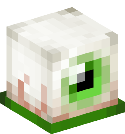 Minecraft head — Decor