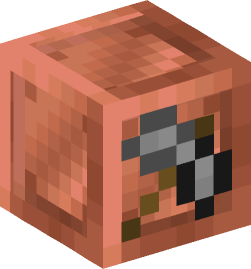 Minecraft head — Miscellaneous