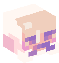 Minecraft head — People