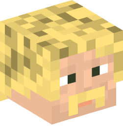 Minecraft head — People