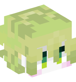 Minecraft head — People