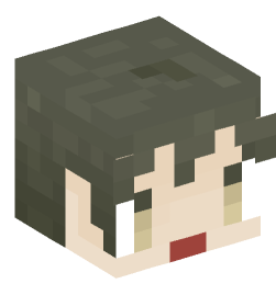 Minecraft head — People