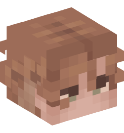 Minecraft head — People