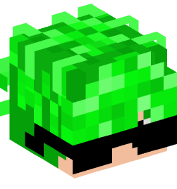 Minecraft head — People