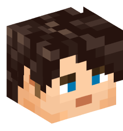 Minecraft head — People