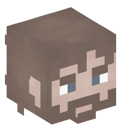 Minecraft head — People