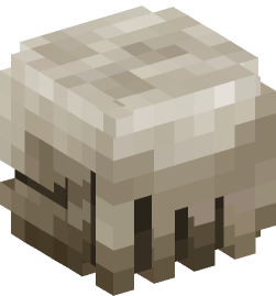 Minecraft head — Decor