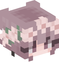 Minecraft head — People