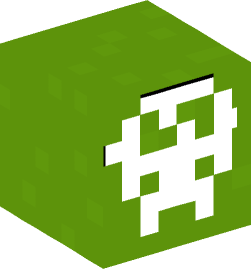 Minecraft head — Miscellaneous