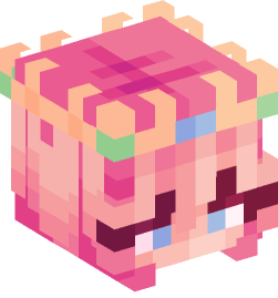 Minecraft head — People