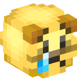 Minecraft head — Miscellaneous