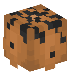 Minecraft head — Plants